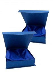 Cutie Medalii MDB 195